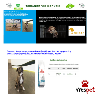 Ράτσα: Πίτ μπούλ - pitbull | Ηλικία: 4 ετών | Φύλο: Αρσενικό | Αρ. Microchip: 981022212121212 | Περιοχή: Αττική